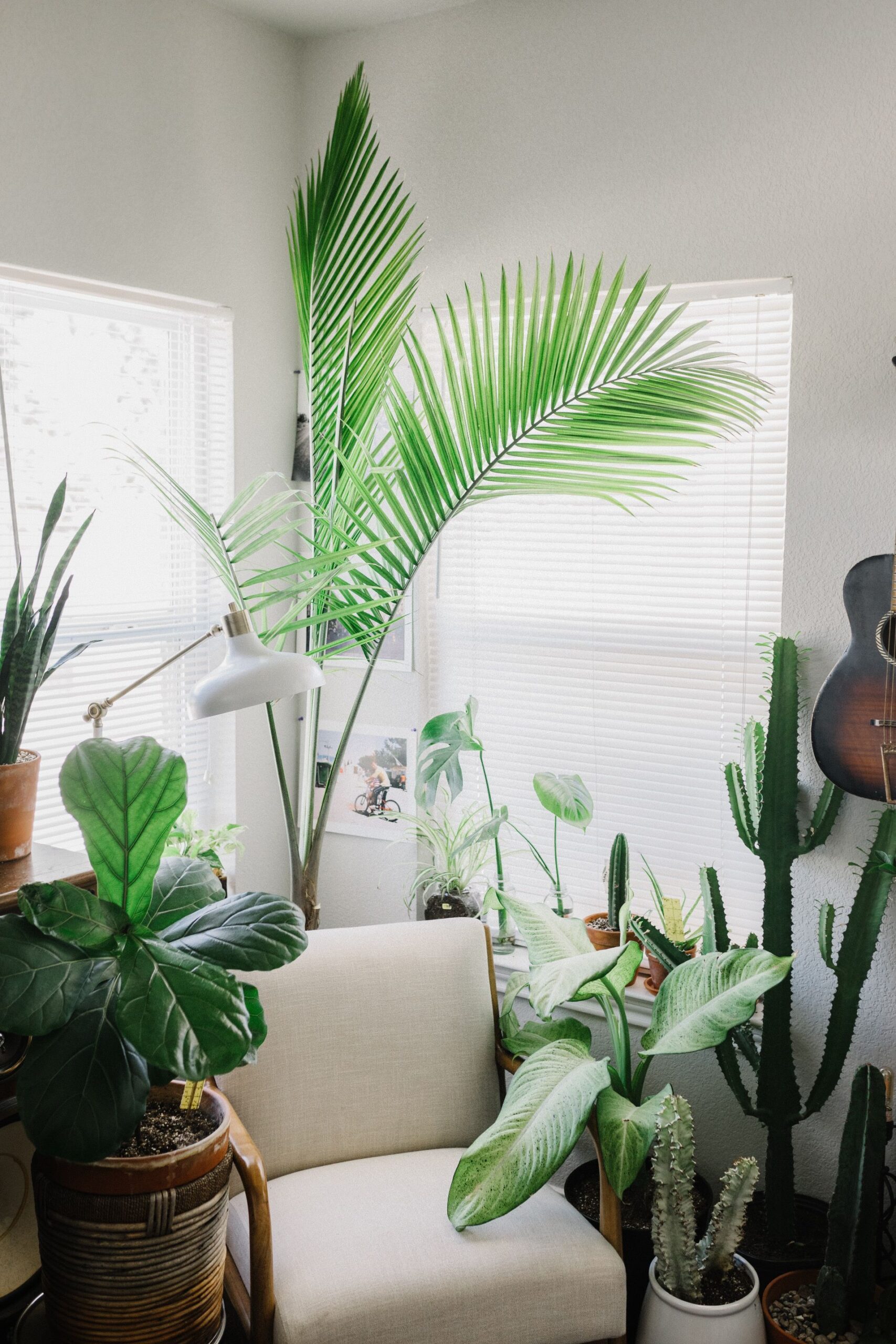 corey-oconnell-wgdHqm0dsYs-unsplash